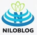 تنهایی عیب نیست 